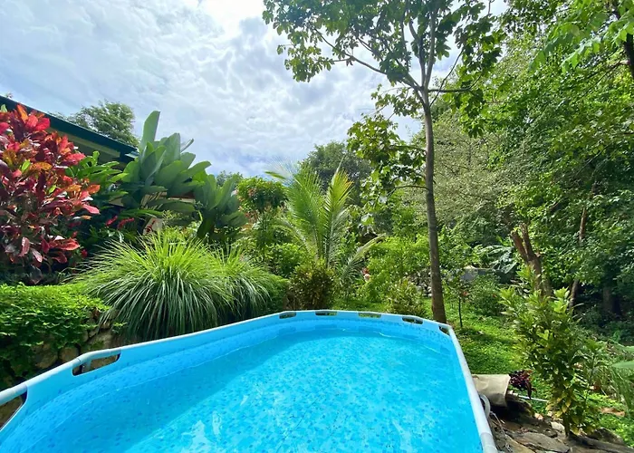 Pelada Jungle Nest 5-min Walk To & River * Nosara