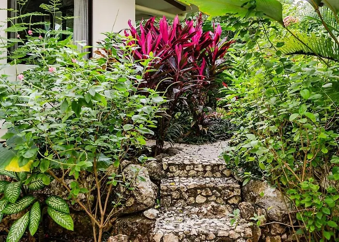 Сasa de vacaciones Pelada Jungle Nest 5-min Walk To & River *