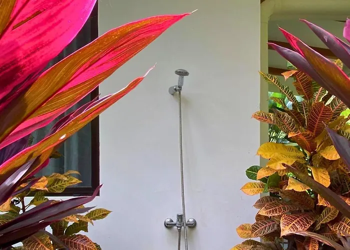 Сasa de vacaciones Pelada Jungle Nest 5-min Walk To & River