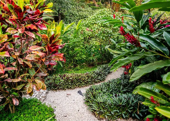 Pelada Jungle Nest 5-min Walk To & River * Nosara